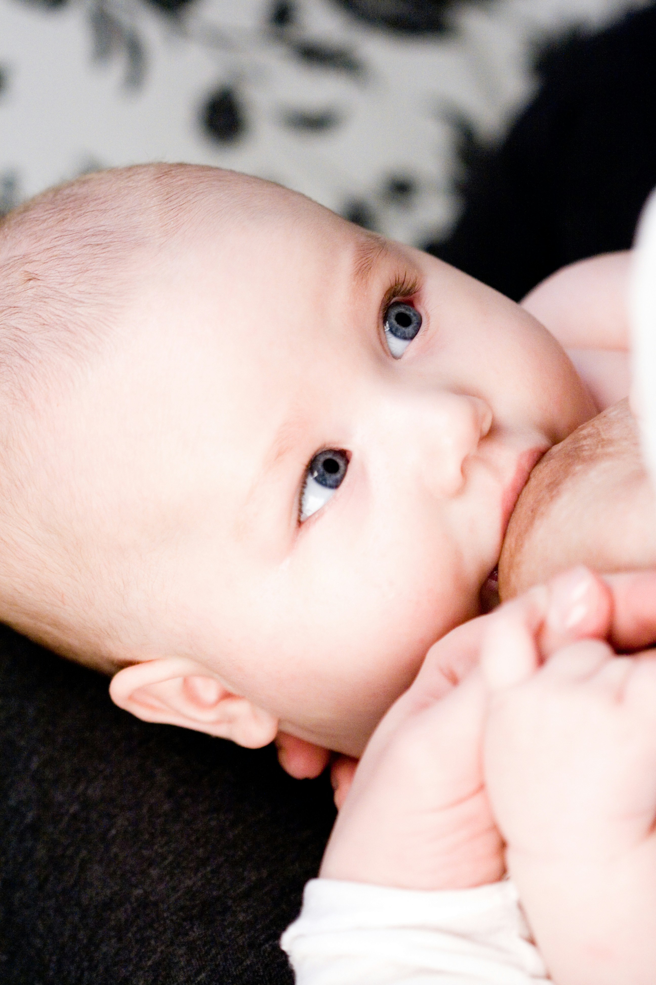 Bébé allaité, succion au sein